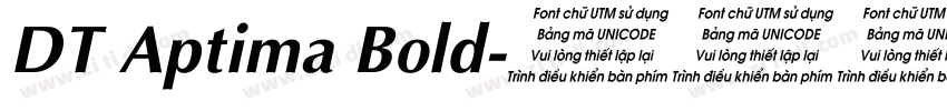 DT Aptima Bold字体转换